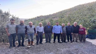 Antalyada coğrafi işaretli çekirdeksiz narın hasadı başladı