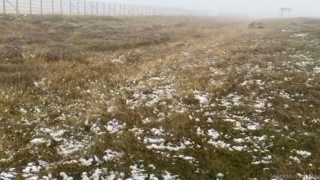 Ardahanın yüksek kesimlerinde kar yağışı etkili oldu