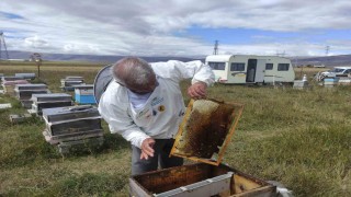 Arıcılar Birliği Başkanı Evliyaoğlu: Arıcılıkta sonbahar bakımı ve kışlatma çok önemli