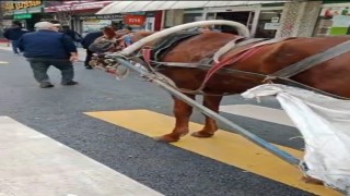 At arabasına 993 lira hatalı park cezası