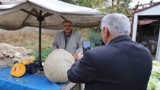 Ata tohumu 51 kiloluk dev kabak ilgi odağı oldu
