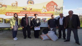 Atakumlu çiftçilere karakılçık buğdayı desteği