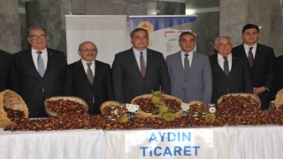 Aydında sezonun ilk kestanesi kilosu 550 TLden alındı