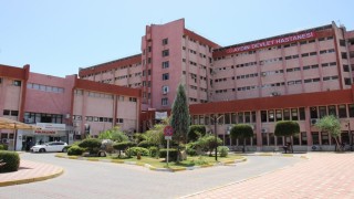 Aydında uyuz salgını