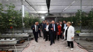 Aziziyede yatırım turu