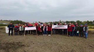 Babaeskide Çeltik Tarla Günü etkinliği düzenlendi