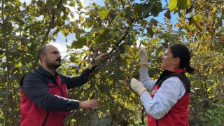 Bakan Yumaklı: Zararlıya karşı 1 milyon 156 bin doğal düşman samuray arısı salımı yaptık