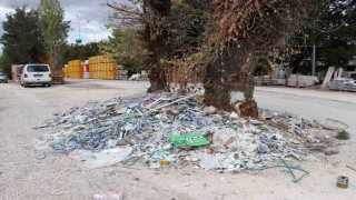 Baksan Sanayi Sitesinde ağacın çevresindeki moloz ve sanayi atıklarına tepki