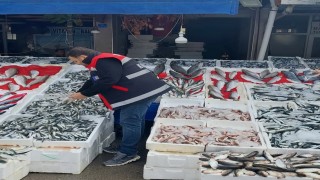 Balık tezgahları denetlendi