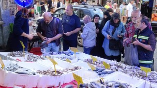 Balık Tezgahlarında Hamsi Bolluğu Yaşanıyor