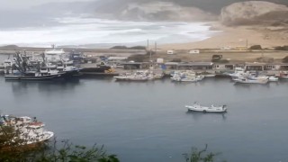 Balıkçı Demir: Küçük balıkçı kasabalarını ayakta tutan palamut balığıdır