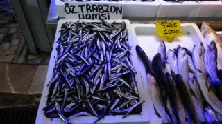 Balıkçılardan Patlatılan insansız deniz araçları hamsiyi kaçırttı iddiası