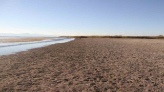 Balıkçıların ağ attığı kuruyan göldeki toprak parçalarında şimdi yürüyüş yapılıyor