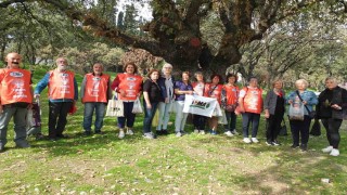 Balıkesirde meşe palamutları öğrencilerin elinde fidana dönüşecek