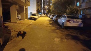 Balıkesirdeki deprem Aydında da hissedildi