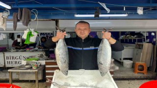 Bandırma Balık Halinde sezon hareketliliği başladı