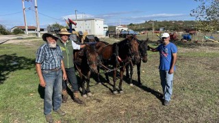 Barış için at üzerinde 4 bin 800 kilometre