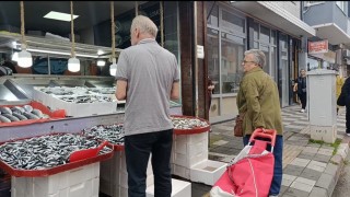 Bartında azalan hamsinin fiyatı arttı