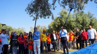 Başkan Boltaç: Bu topraklarda yetişen her zeytin tanesi aslında bir iyiliğin tohumu
