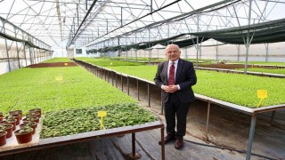 Başkan Güler: Ürettiğimiz 4 milyon 600 bin fideyi üreticilerimize dağıttık