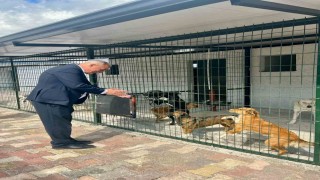 Başkan Yıldırımkaya: Sultanhisarda can dostlar emin ellerde