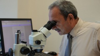 Batı Karadeniz orman fidanlıklarında toprak canlıları ilk kez araştırılıyor