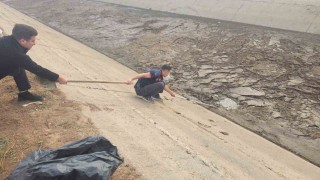 Batmanda kanala düşen köpek, itfaiye ekiplerince kurtarıldı