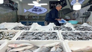 Bayburtta balıklar tezgâhlarda yerini aldı