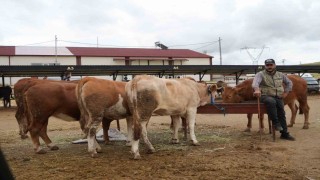 Bayburtta canlı hayvan pazarı yeniden hizmete açıldı