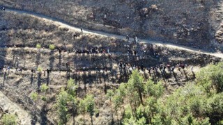 Bayburtta minik eller ‘Yeşil Vatan için fidan dikti
