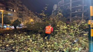 Belediye ekipleri, yağışın oluşturduğu olumsuzluklara 81 araç ve 323 personelle hızla müdahale etti