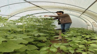 Berberlikten arta kalan zamanını doğaya ayırıyor