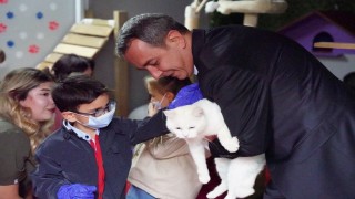 Beyoğlunda minikler barınaktaki hayvanlarla buluştu