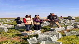 Beypazarında gıda güvenliği denetimleri aralıksız sürüyor