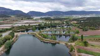 Bilecikin ilk sulak alanı Beşgöller koruma altında