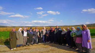 Bilecikte dağıtılan sebze fidelerinin hasadını yapıldı