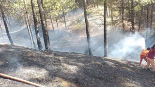 Bingölde çıkan orman yangını büyümeden söndürüldü