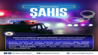 Bingöl'de hakkında 4 yıl kesinleşmiş hapis cezası bulunan şahıs yakalandı