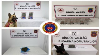 Bingölde jandarma ekipleri huzur ve güven için sahada