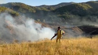 Bingöldeki orman yangını kontrol altına alındı