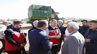 Bismilde beyaz altının hasadı başladı