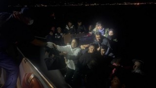 Bodrumda 43 düzensiz göçmen yakalandı