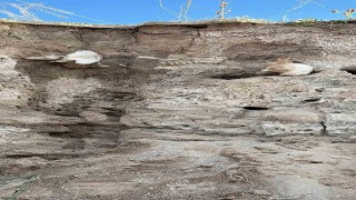 Boğazlıyanda bulunan insan kemikleri incelemeye alındı