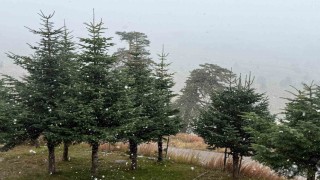 Boluda mevsimin ilk karı yağdı