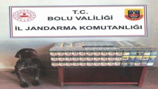 Boluda yolcu otobüsünde kaçak sigara ele geçirildi
