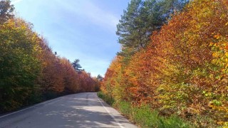 Bozcaarmutda sonbahar büyüsü