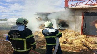 Bucakta ot balyaları yandı