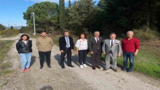 Bursa tarımına akademik bakış