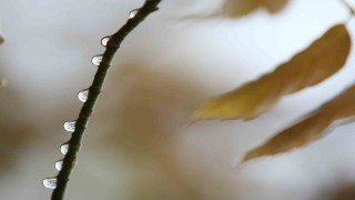 Bursada 2 günlük yağışlar ekim ayını kurtardı