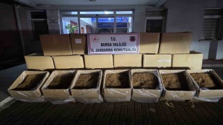 Bursada 750 kilogram kaçak tütün ele geçirildi